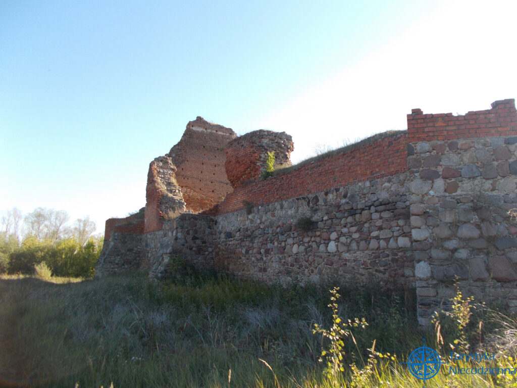 Zamek w Bobrownikach
